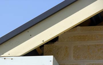 Woodway fascia repairs