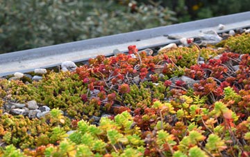 the cost of Woodway green roof installation