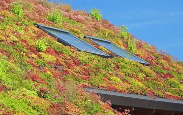 Woodway living roof systems