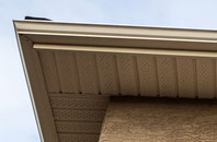 free Woodway fascia quotes